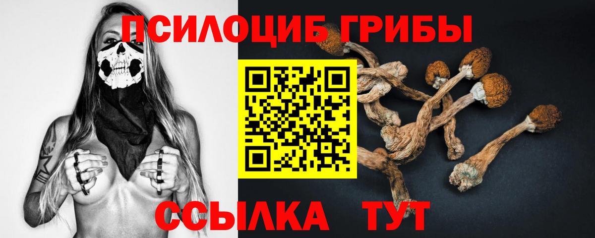 Галлюциногенные грибы GOLDEN TEACHER  Вход с VPN  Кохма 